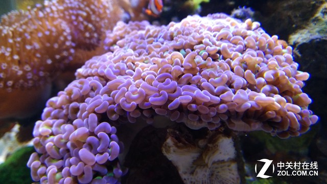 金刚2S评测：三防之外给你第四层安全感 