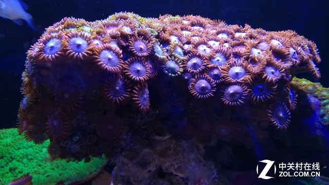 金刚2S评测：三防之外给你第四层安全感 