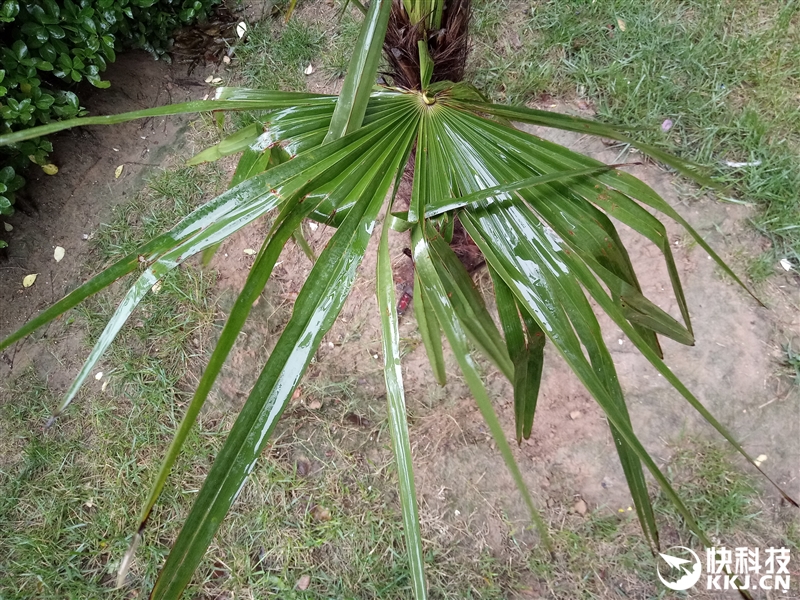 低调有内涵：华为千元高能旗舰畅享6深度评测