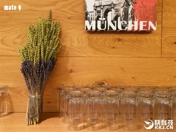 首发！华为Mate 9拍照对比iPhone 7 Plus：感受下