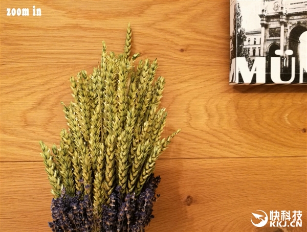 首发！华为Mate 9拍照对比iPhone 7 Plus：感受下