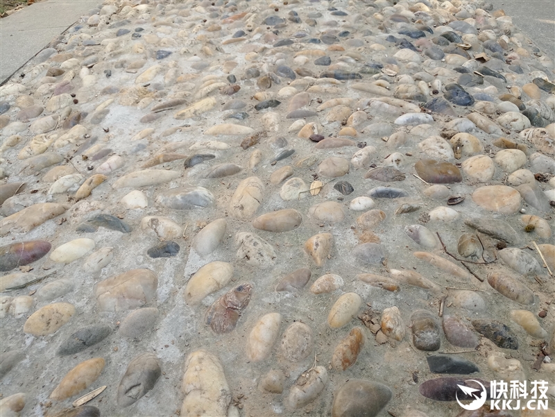 半年精心打磨！魅族PRO 6s评测：拍照惊喜