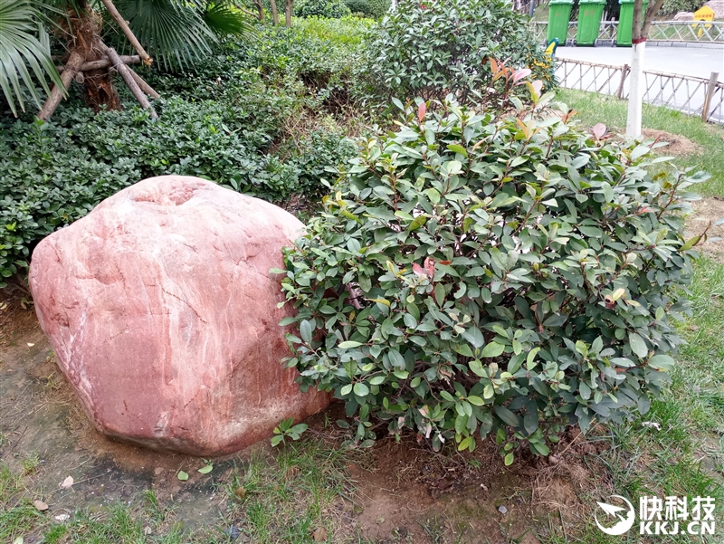 半年精心打磨！魅族PRO 6s评测：拍照惊喜