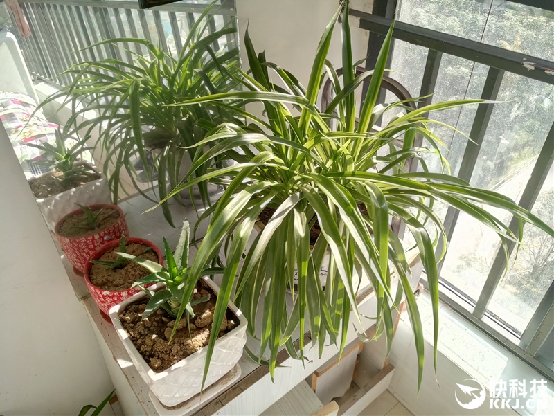 半年精心打磨！魅族PRO 6s评测：拍照惊喜