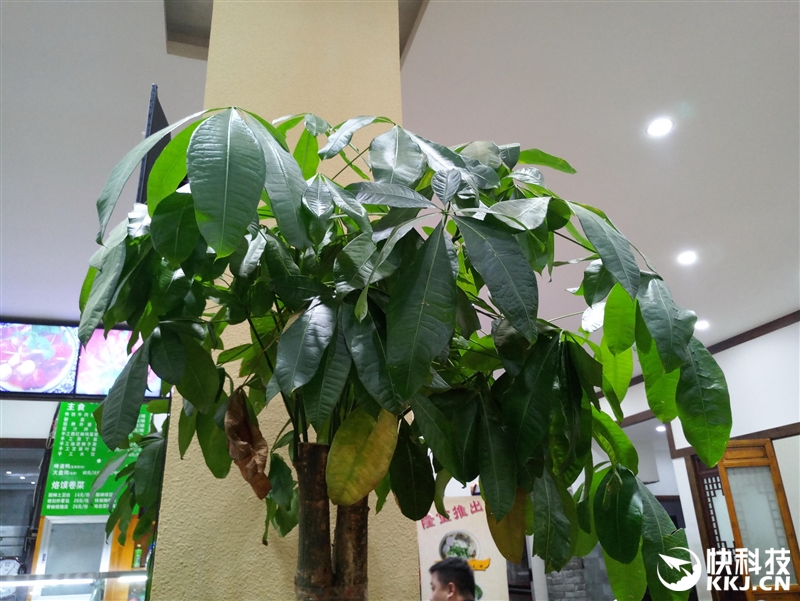 半年精心打磨！魅族PRO 6s评测：拍照惊喜