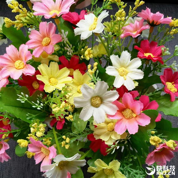 官方自曝！魅蓝X拍照惊艳：击溃荣耀8