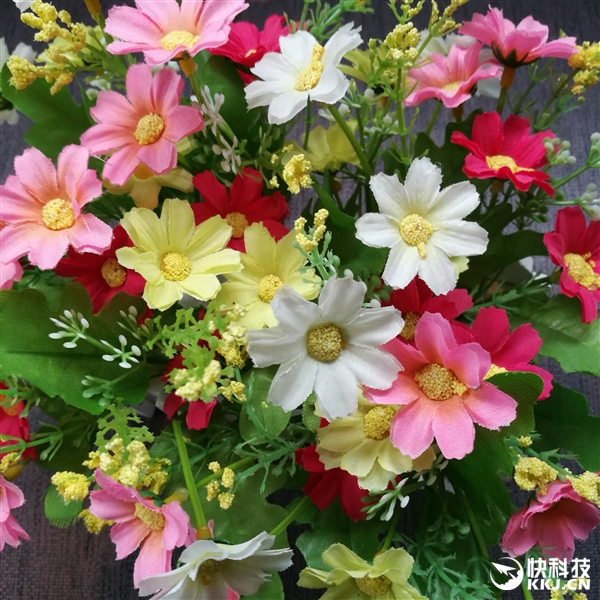 官方自曝！魅蓝X拍照惊艳：击溃荣耀8