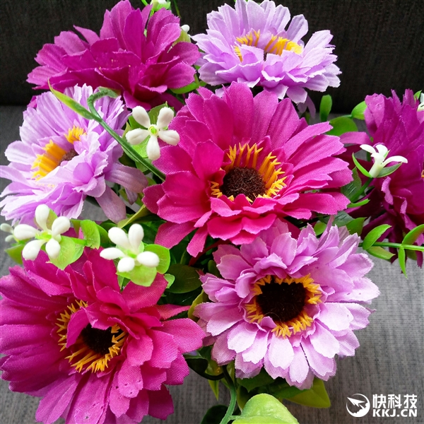 官方自曝！魅蓝X拍照惊艳：击溃荣耀8