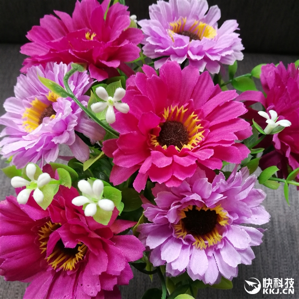 官方自曝！魅蓝X拍照惊艳：击溃荣耀8