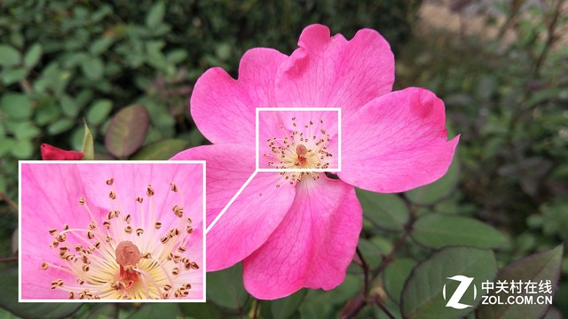 手机黑科技 OPPO R9s双核对焦技术解析 