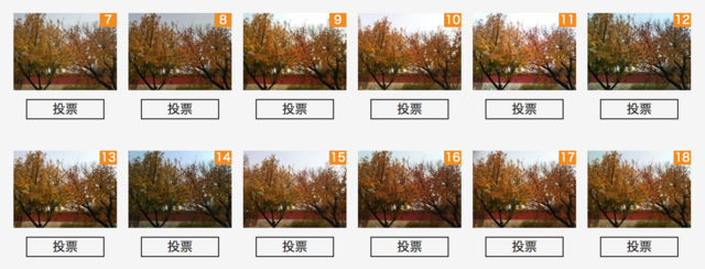 2016年30款旗舰手机拍照横评 