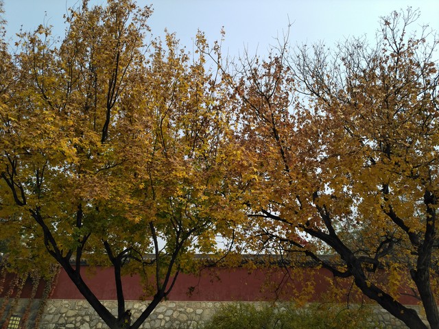 2016年30款旗舰手机拍照横评 