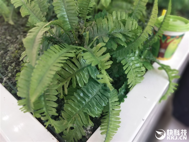 四曲面屏惊艳！vivo Xplay6深度评测：拍照很出彩