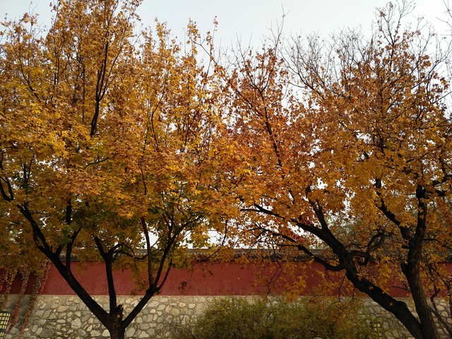 vivo Xplay6评测：转型拍照的首款旗舰 