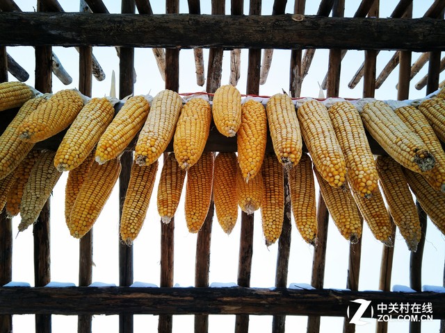 确实给力 对于OPPO R9s拍照我们有话说 