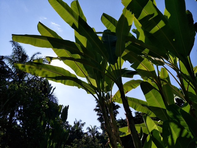 确实给力 对于OPPO R9s拍照我们有话说 