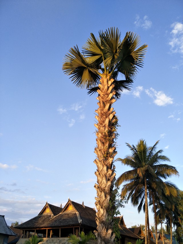 确实给力 对于OPPO R9s拍照我们有话说 