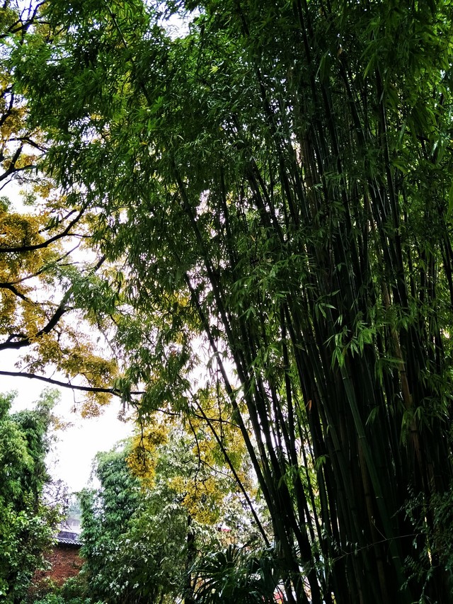 确实给力 对于OPPO R9s拍照我们有话说 