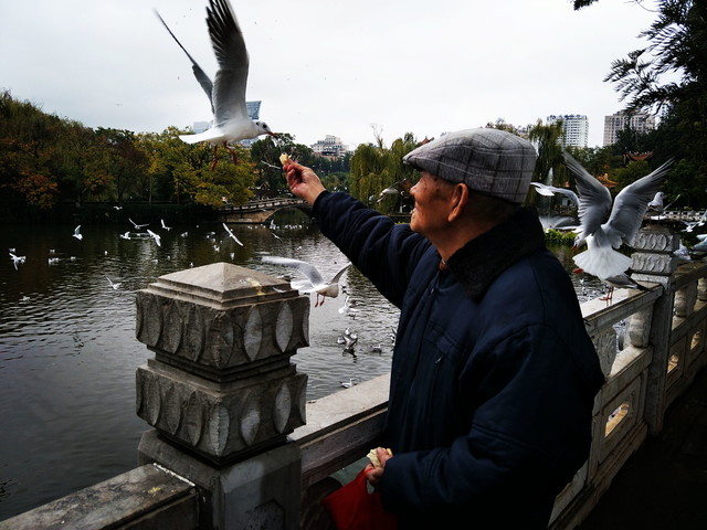 确实给力 对于OPPO R9s拍照我们有话说 