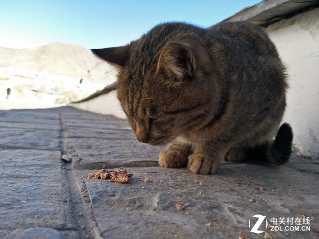 确实给力 对于OPPO R9s拍照我们有话说 